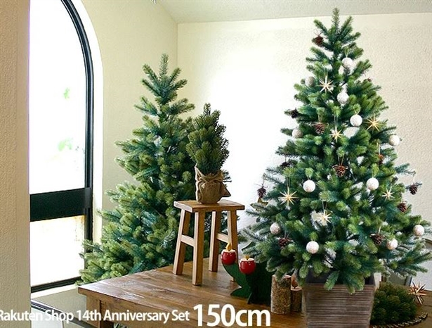 �N���X�}�X�c���[�ʔ́b2025�N�������ȃN���X�}�X�c���[�����L���O