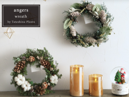 �N���X�}�X���[�X�ʔ́b�������ɍw������Ȃ�y2025�N�ŐV�Łz