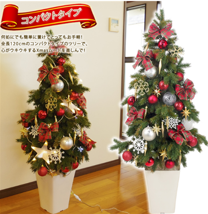 �R�K�[�f���̂������N���X�}�X�c���[2025�N�̂������߂̓R��