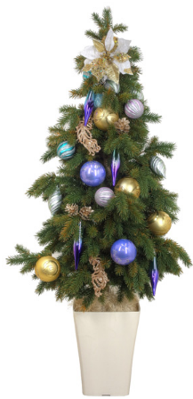 �R�K�[�f���̂������N���X�}�X�c���[2025�N�̂������߂̓R��