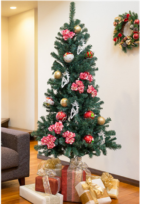 �R�K�[�f���̂������N���X�}�X�c���[2025�N�̂������߂̓R��