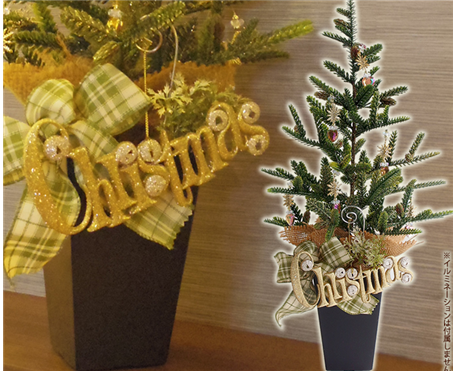 �R�K�[�f���̂������N���X�}�X�c���[2025�N�̂������߂̓R��