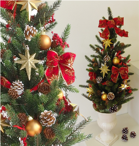 �R�K�[�f���̂������N���X�}�X�c���[2025�N�̂������߂̓R��