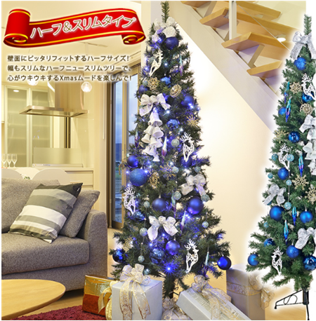 �R�K�[�f���̂������N���X�}�X�c���[2025�N�̂������߂̓R��