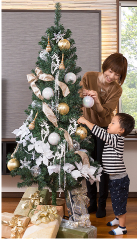 �R�K�[�f���̂������N���X�}�X�c���[2025�N�̂������߂̓R��