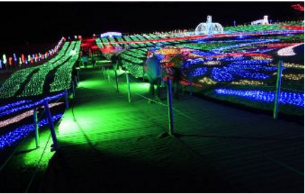 �����h�C�c���̃o�X�c�A�[2019�N�b�i���ł��T���Ȃ炱����I