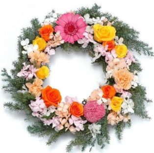 �N���X�}�X���[�X�@�ʔ́@ �摜