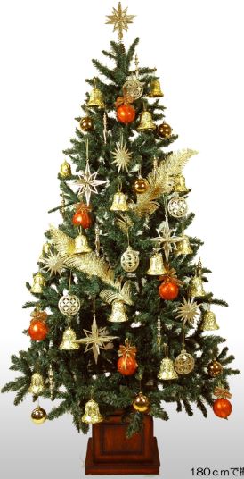 �N���X�}�X�c���[�@�ʔ́@�摜