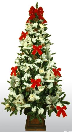 �N���X�}�X�c���[�@�ʔ́@�摜