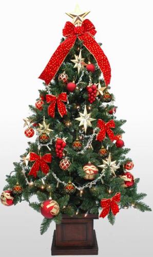 �N���X�}�X�c���[�@�ʔ́@�摜