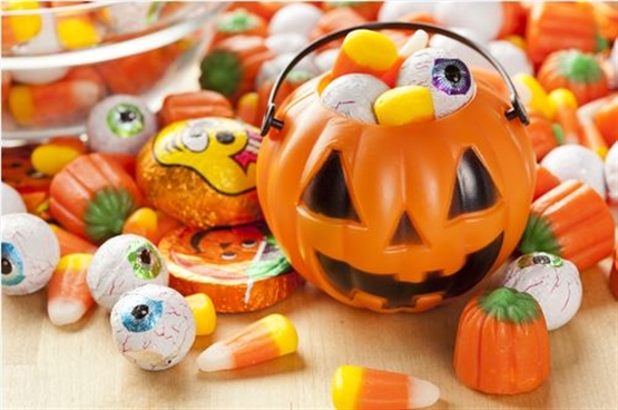 �y2025�N�ŐV�z�n���E�B������̂��َq�̋l�ߍ��킹���I�S�O�I��