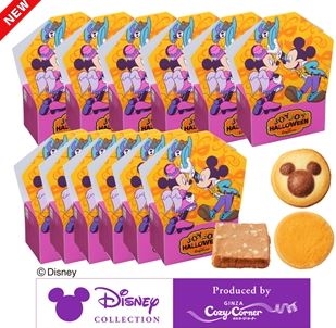 �y2025�N�ŐV�z�n���E�B������̂��َq�̋l�ߍ��킹���I�S�O�I��