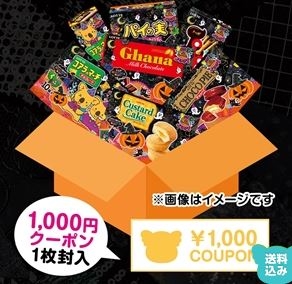 �y2025�N�ŐV�z�n���E�B������̂��َq�̋l�ߍ��킹���I�S�O�I��