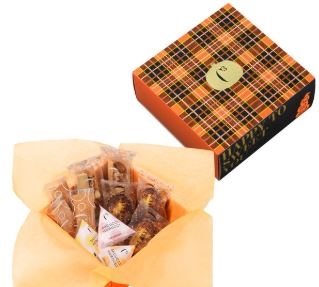 �y2025�N�ŐV�z�n���E�B������̂��َq�̋l�ߍ��킹���I�S�O�I��