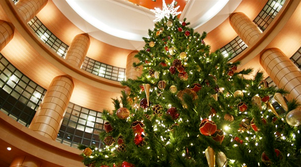 �N���X�}�X�c���[�ʔ́b2025�N�������ȃN���X�}�X�c���[�����L���O