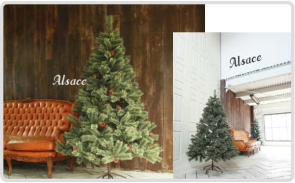 �N���X�}�X�c���[�ʔ́b2025�N�������ȃN���X�}�X�c���[�����L���O