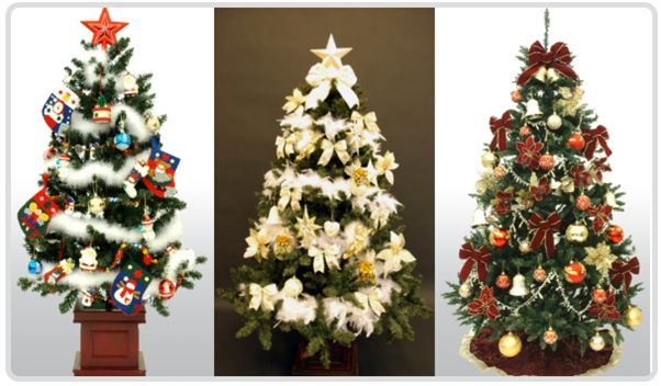 �N���X�}�X�c���[�ʔ́b2025�N�������ȃN���X�}�X�c���[�����L���O