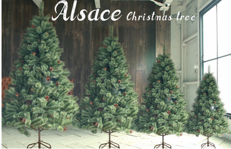 �N���X�}�X�c���[�ʔ́b2025�N�������ȃN���X�}�X�c���[�����L���O