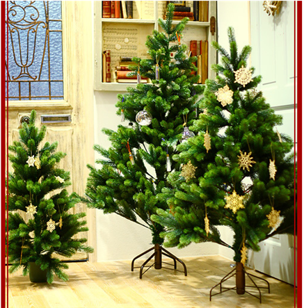 �N���X�}�X�c���[�ʔ́b2025�N�������ȃN���X�}�X�c���[�����L���O