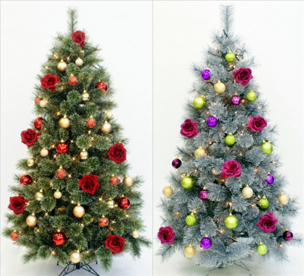 2025�N�@�N���X�}�X�̃g�����h�I�������߃N���X�}�X�P�[�L�ƃN���X�}�X�c���[�̓R���I