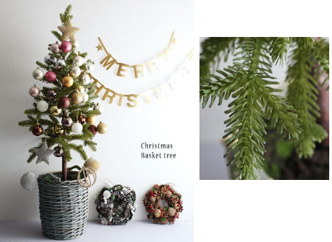 �N���X�}�X�c���[�ʔ́b2025�N�������ȃN���X�}�X�c���[�����L���O