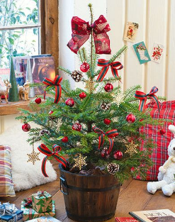 �N���X�}�X�c���[�����݂̖؂ł��T���̕��͂����炪��������