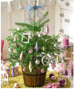 �N���X�}�X�c���[�����݂̖؂ł��T���̕��͂����炪��������