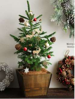 �N���X�}�X�c���[�����݂̖؂ł��T���̕��͂����炪��������