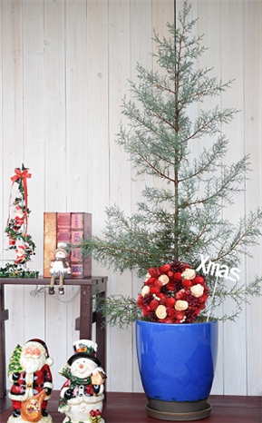 �N���X�}�X�c���[�ʔ́b2025�N�������ȃN���X�}�X�c���[�����L���O