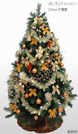 �N���X�}�X�c���[�@�ʔ́@�摜