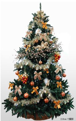 �N���X�}�X�c���[�@�ʔ́@�摜