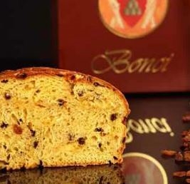 �p�l�g�[�l��ʔ̂ł����񂹁I�l�C�����L���O�y2025�N�E�ŐV�Łz