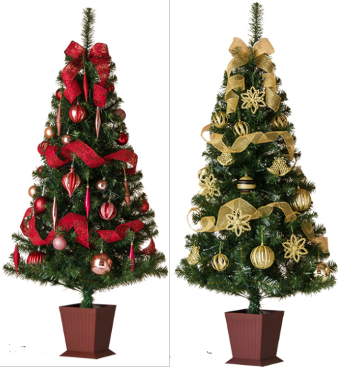 2025�N�@�N���X�}�X�̃g�����h�I�������߃N���X�}�X�P�[�L�ƃN���X�}�X�c���[�̓R���I