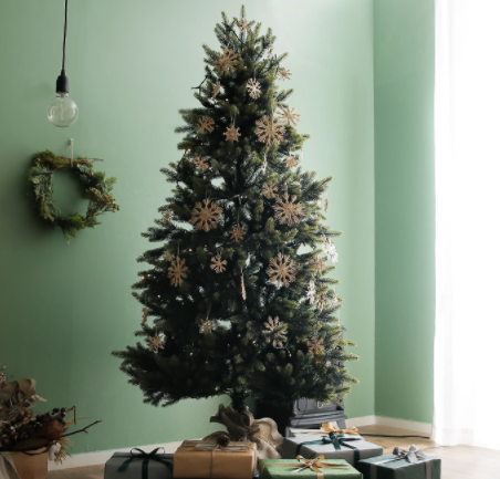 �N���X�}�X�c���[�ʔ́b2025�N�������ȃN���X�}�X�c���[�����L���O