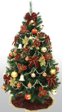 �N���X�}�X�c���[�@�ʔ́@�摜