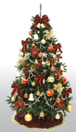 �N���X�}�X�c���[�@�ʔ́@�摜