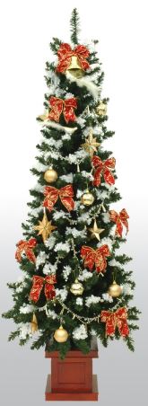 �N���X�}�X�c���[�@�ʔ́@�摜