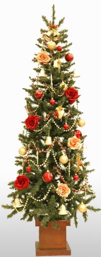 �N���X�}�X�c���[�@�ʔ́@�摜