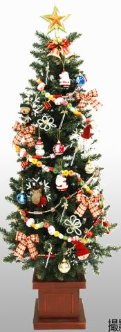 �N���X�}�X�c���[�@�ʔ́@�摜